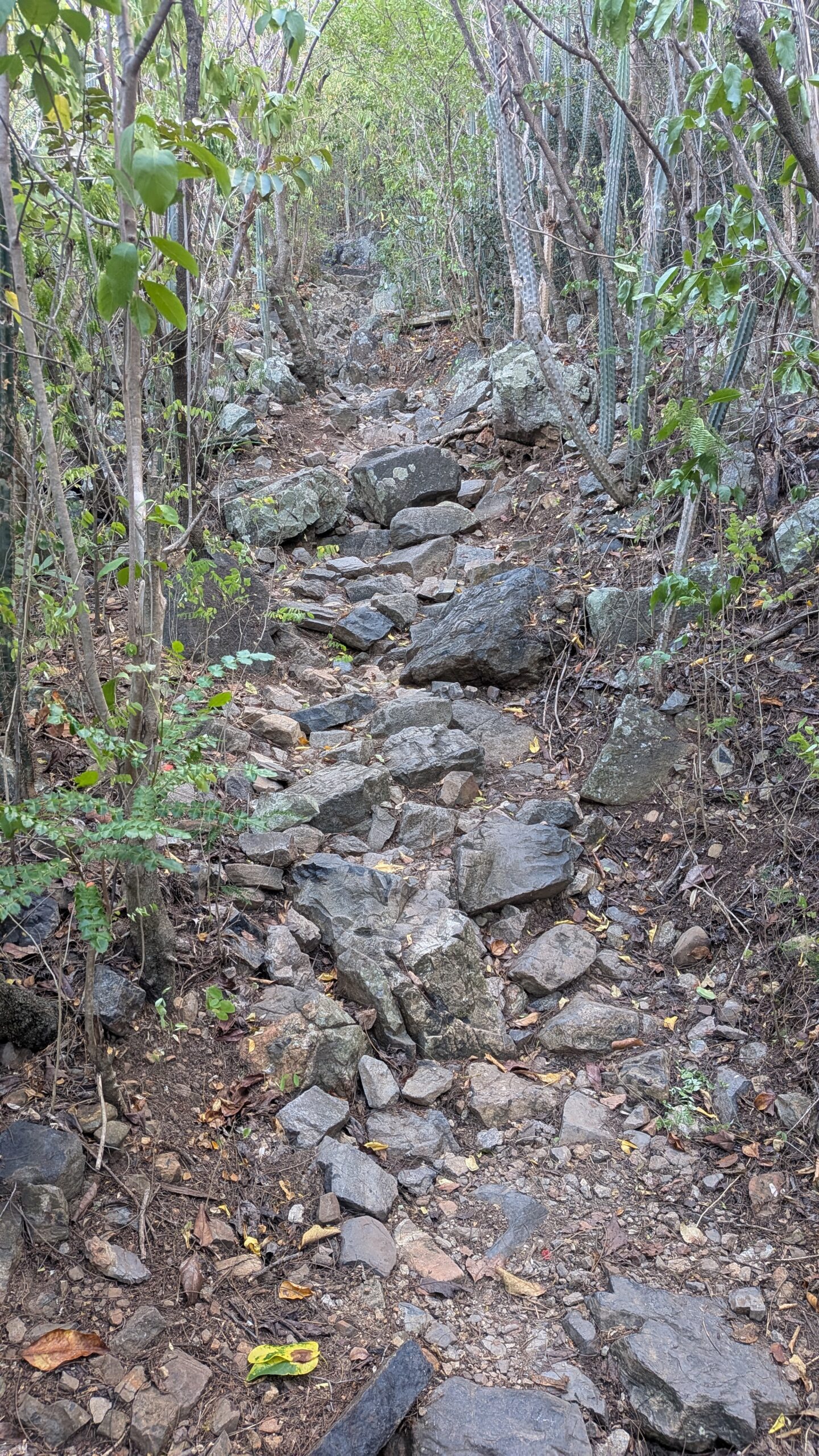 2026 St. Martin day 1: Torture?