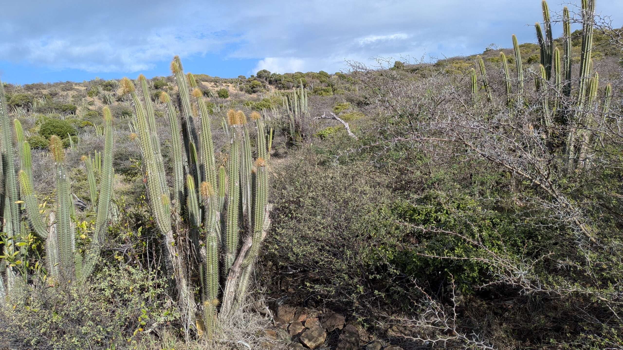 2026 SXM Day 9: Arizona???