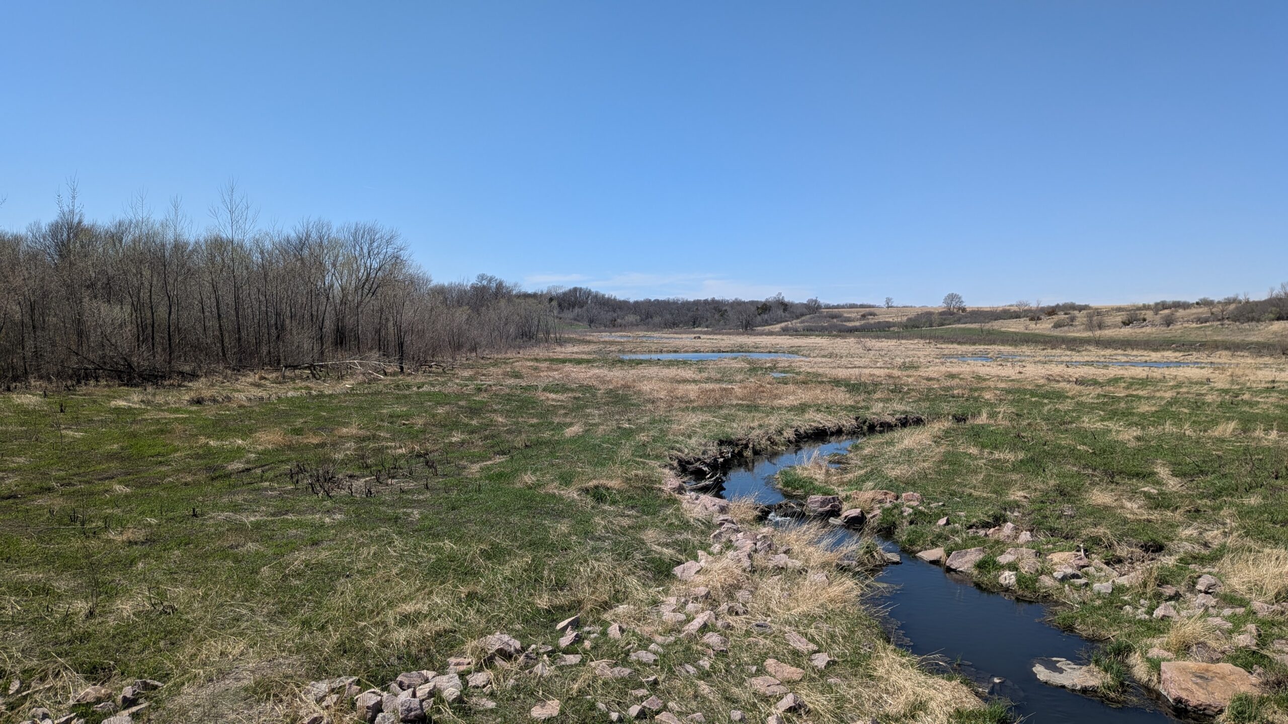 2026 in the west -Day 1 Crazy